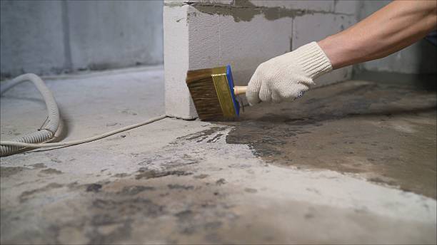 SJ Waterproofing Pros Waterproofing coverage map for Geneva, AL and surrounding area